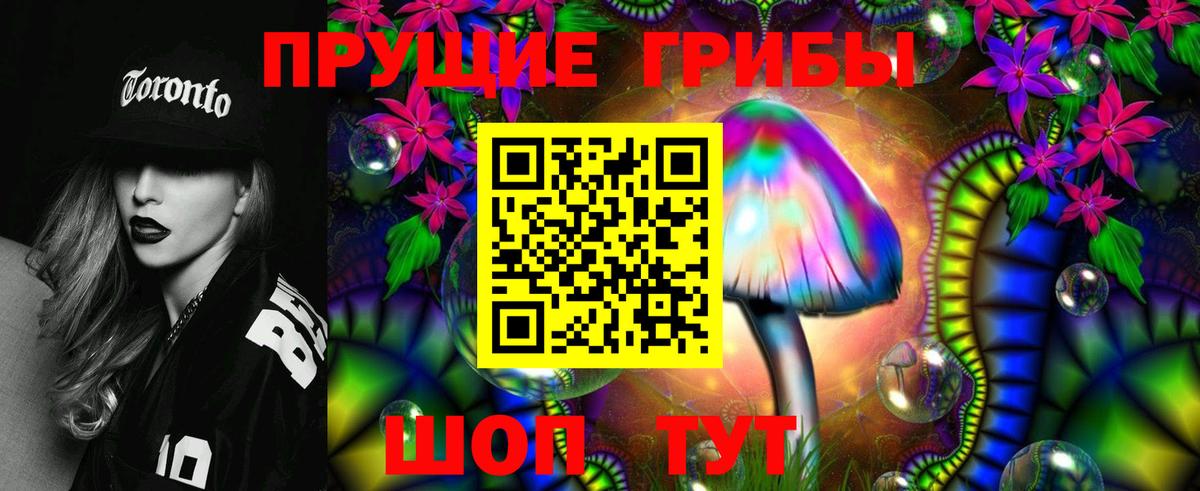 Галлюциногенные грибы Psilocybe Шелехов