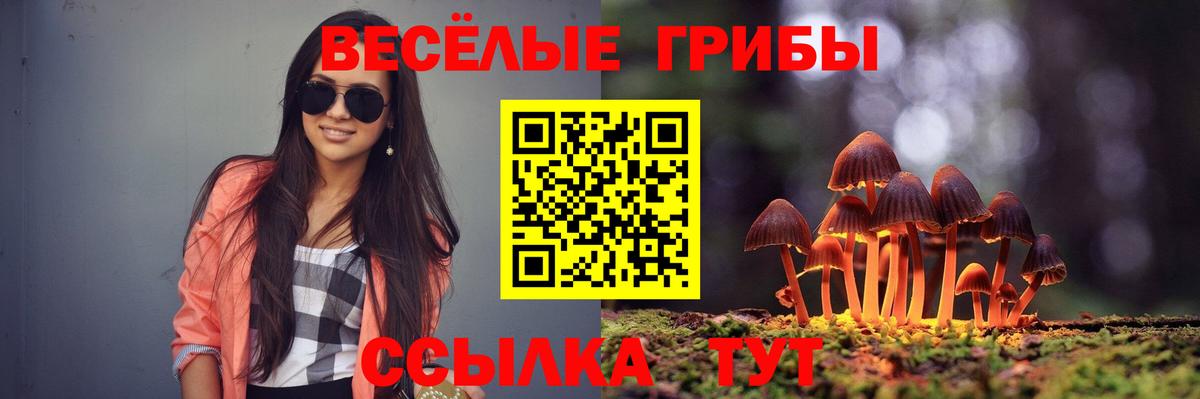 Шелехов  Галлюциногенные грибы GOLDEN TEACHER  Вход с VPN 
